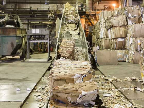 How Much Paper Was Recycled in 2023?